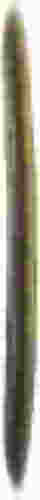 jpickle